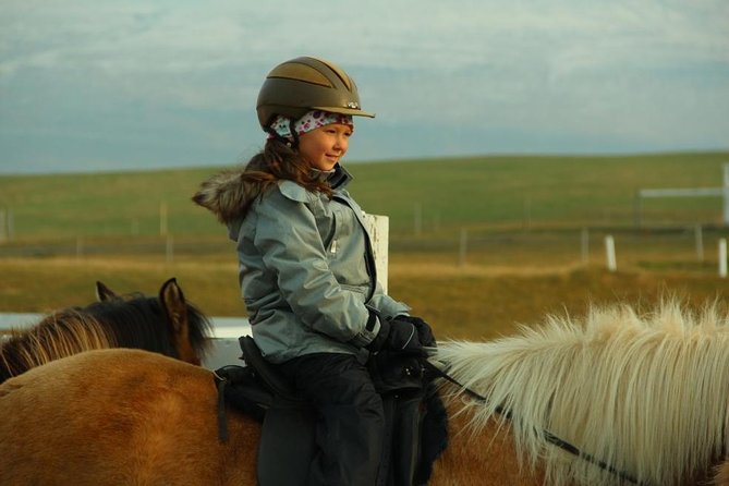 Family Friendly Horse Riding Tour in Skagafjörður - The One-Hour Timing: Convenient, But Limited