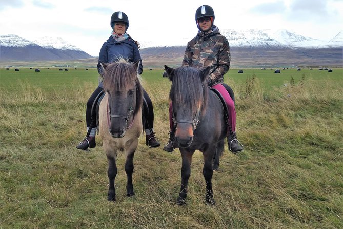 Family Friendly Horse Riding Tour in Skagafjörður - Gear, Weather, and Staying Comfortable