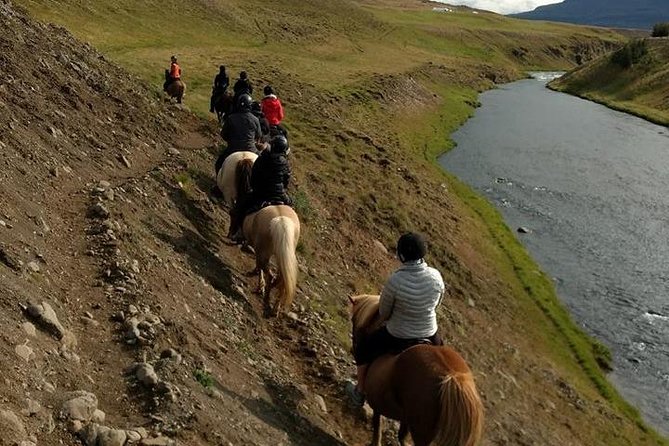 Family Friendly Horse Riding Tour in Skagafjörður - Price and What You Get for $90.05