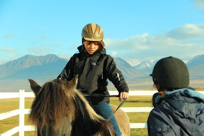 Family Friendly Horse Riding Tour in Skagafjörður - Who Will Enjoy This Ride Most