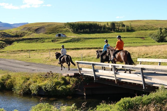 Family Friendly Horse Riding Tour in Skagafjörður - Booking Details Worth Checking