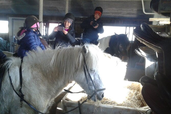 Family Horse Riding Tour in Thorlakshofn - Key points about the Þorlákshöfn ride