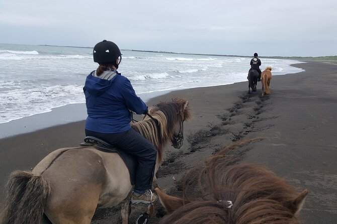 Family Horse Riding Tour in Thorlakshofn - Riding Icelandic horses from Þorlákshöfn