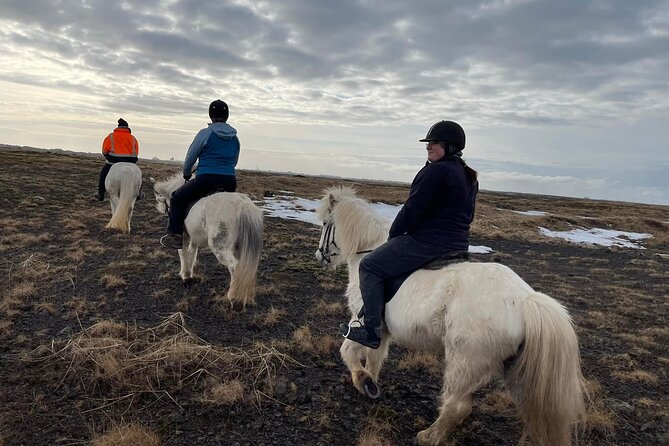 Family Horse Riding Tour in Thorlakshofn - Small groups and guide support