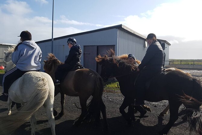 Family Horse Riding Tour in Thorlakshofn - A route through lava, steam, and ocean air