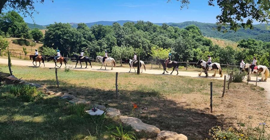 Fattoria Tègoni: horseback riding in Tuscany - A one-hour ride through the Tuscan hills