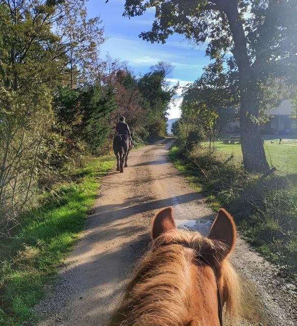 Fattoria Tègoni: horseback riding in Tuscany - The difference between a beginner ride and an experienced ride