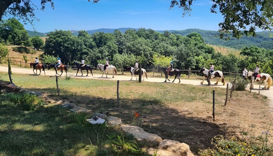 Fattoria Tègoni: horseback riding in Tuscany - Why the small group matters