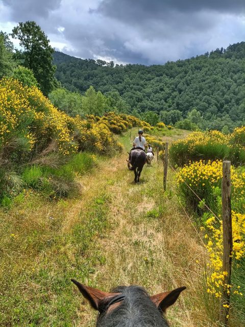 Fattoria Tègoni: horseback riding in Tuscany - Other ways to extend the visit