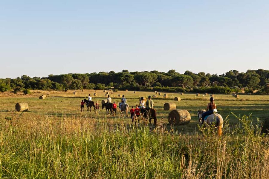 Fazana: Sunset 1-hour Horse Riding in Nature with Guide - From the stable to the pine woods