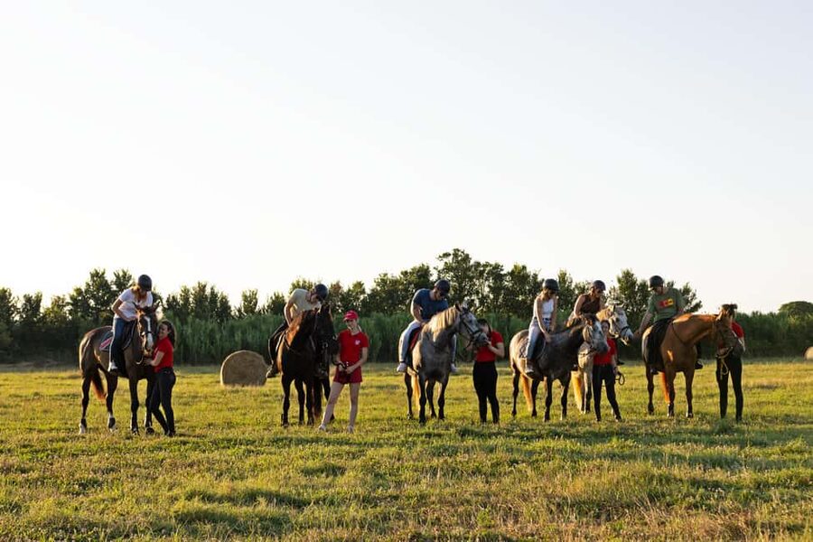 Fazana: Sunset 1-hour Horse Riding in Nature with Guide - Olive groves and local details