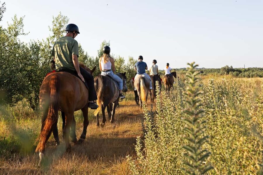 Fazana: Sunset 1-hour Horse Riding in Nature with Guide - Is $58 a fair price for one hour?
