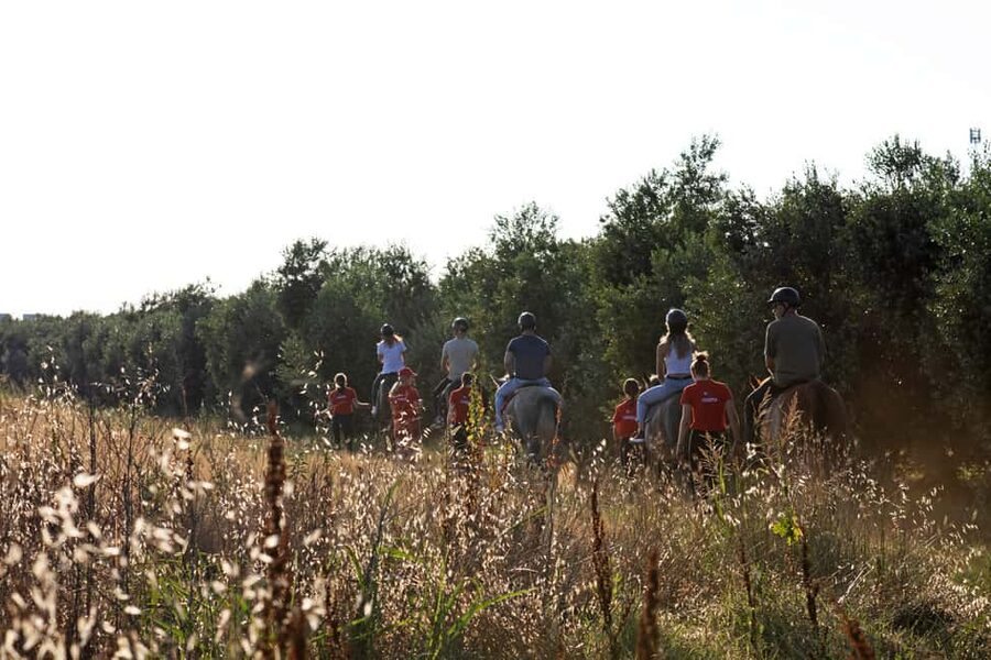 Fazana: Sunset 1-hour Horse Riding in Nature with Guide - What to wear and bring