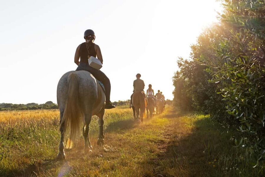 Fazana: Sunset 1-hour Horse Riding in Nature with Guide - The meadow makes the best photo stop
