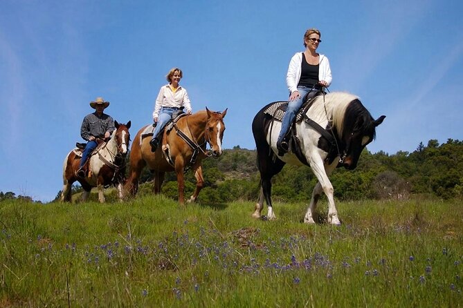 Fethiye Horse Riding Experience With Free Hotel Transfer Service - What happens before you mount