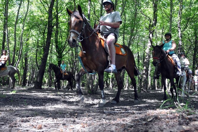 Fethiye Horse Riding Experience With Free Hotel Transfer Service - How the price works at $55