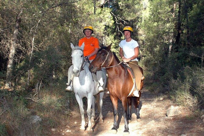 Fethiye Horse Riding Experience With Free Hotel Transfer Service - Timing, group size, and possible drawbacks