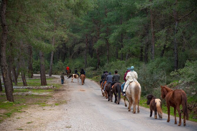 Fethiye Horse Riding Experience With Free Hotel Transfer Service - Cancellation and booking advice