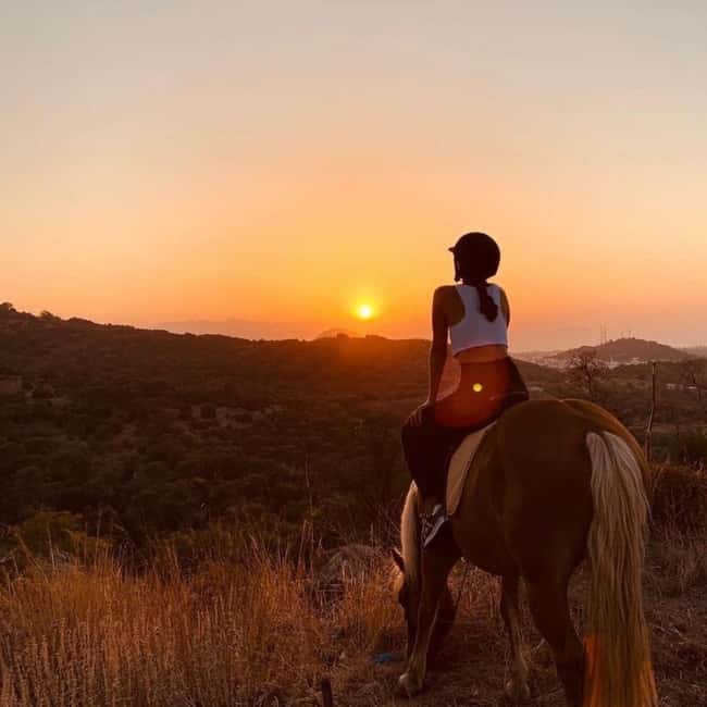 Fethiye Horse Safari Tour, Forest and Hisaronu View - What happens from hotel pickup to the farm