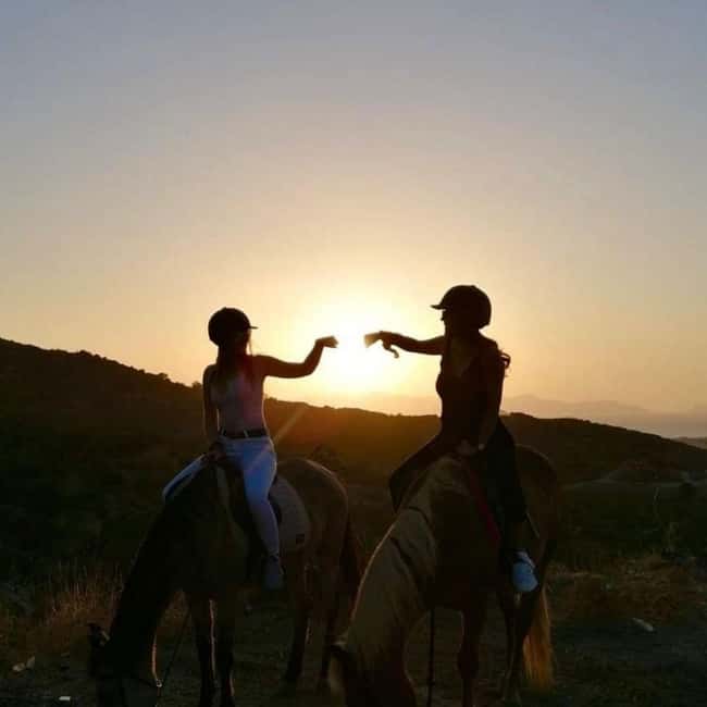 Fethiye Horse Safari Tour, Forest and Hisaronu View - The farm gives the outing a second act