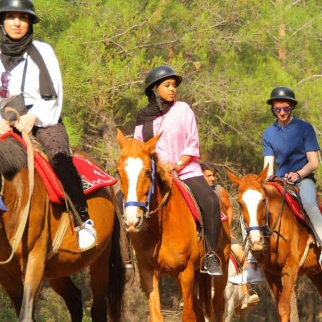 Fethiye Horse Safari Tour, Forest and Hisaronu View - Practical advice before you go
