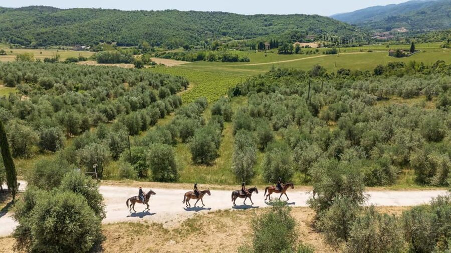 Florence: Horseback Riding Tour with Wine Tasting & Transfer - Riding among vineyards, olive trees, and country roads