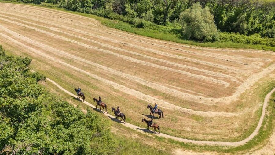 Florence: Horseback Riding Tour with Wine Tasting & Transfer - Should you book the Florence horseback riding and wine tour?
