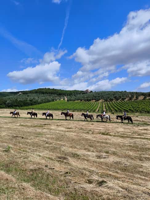 Florence: Horseback Riding Tour with Wine Tasting & Transfer - Getting comfortable with your horse at Crazy Horse Ranch