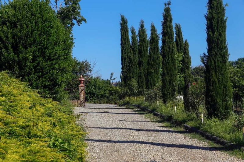 Florence: Private Horseback Ride with Tuscan Lunch or Dinner - Leaving Florence for the hills around Pontassieve