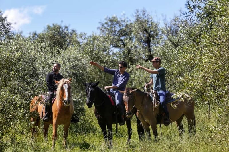 Florence: Private Horseback Ride with Tuscan Lunch or Dinner - One hour among vineyards, olive trees, and woods