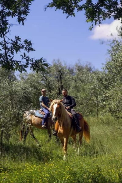 Florence: Private Horseback Ride with Tuscan Lunch or Dinner