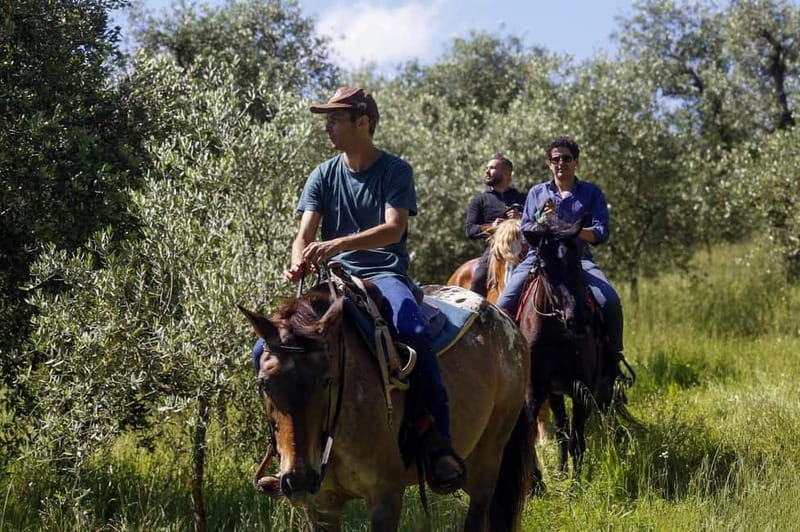 Florence: Private Horseback Ride with Wine Aperitivo - Leaving Florence for a Tuscan farm