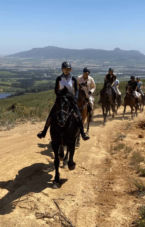 Franschhoek: Half Day Horse Trail and Wine Tasting - Key points to know before booking