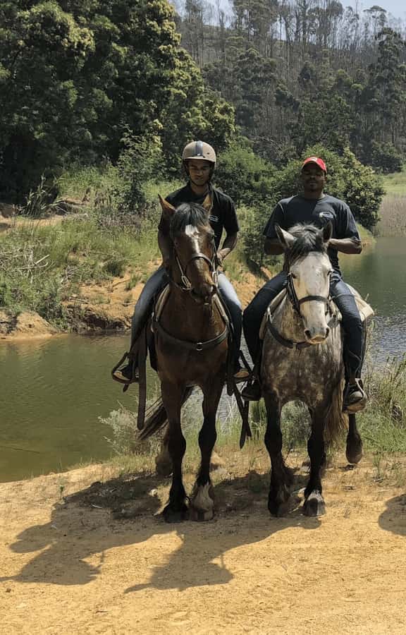 Franschhoek: Half Day Horse Trail and Wine Tasting - Riding through Franschhoek’s working vineyards