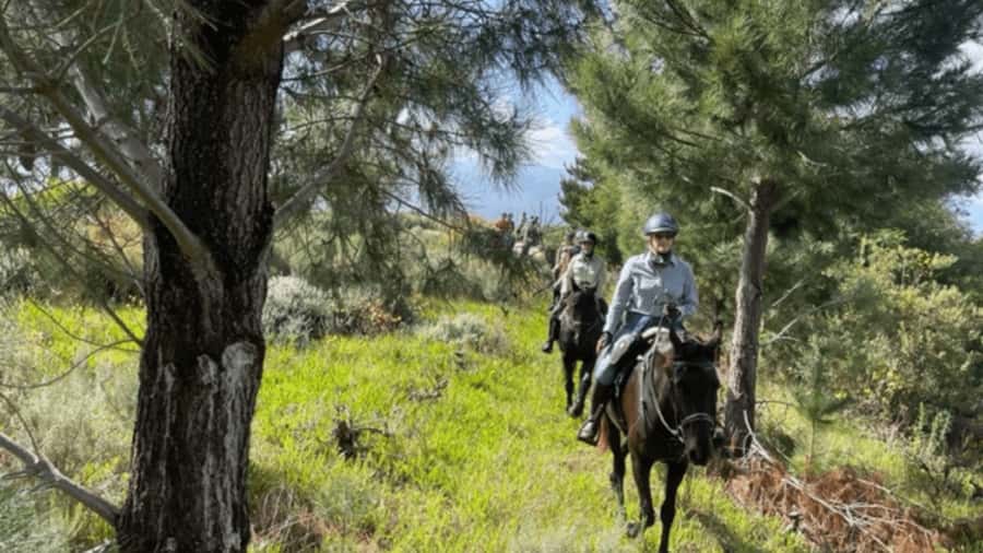 Franschhoek: Half Day Horse Trail and Wine Tasting - The climb to the Great Drakenstein Mountains