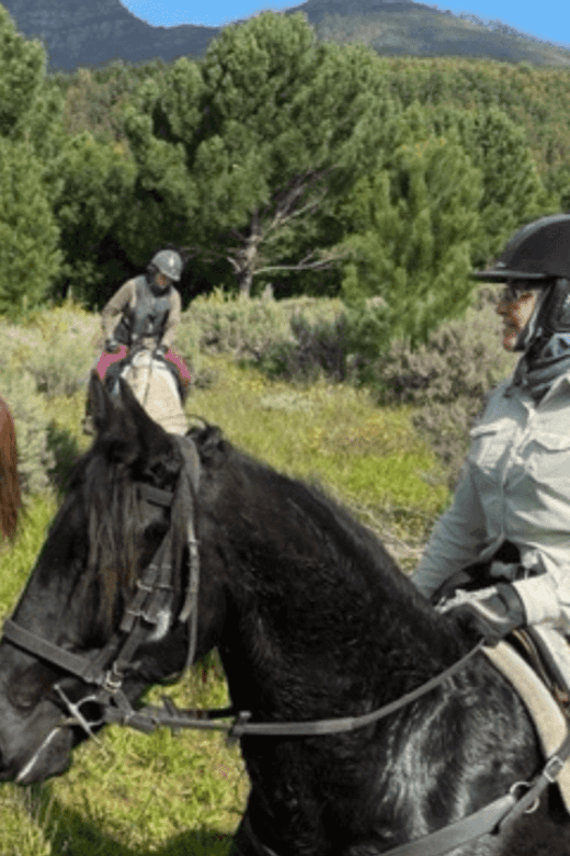 Franschhoek: Half Day Horse Trail and Wine Tasting - Practical preparation for the stable