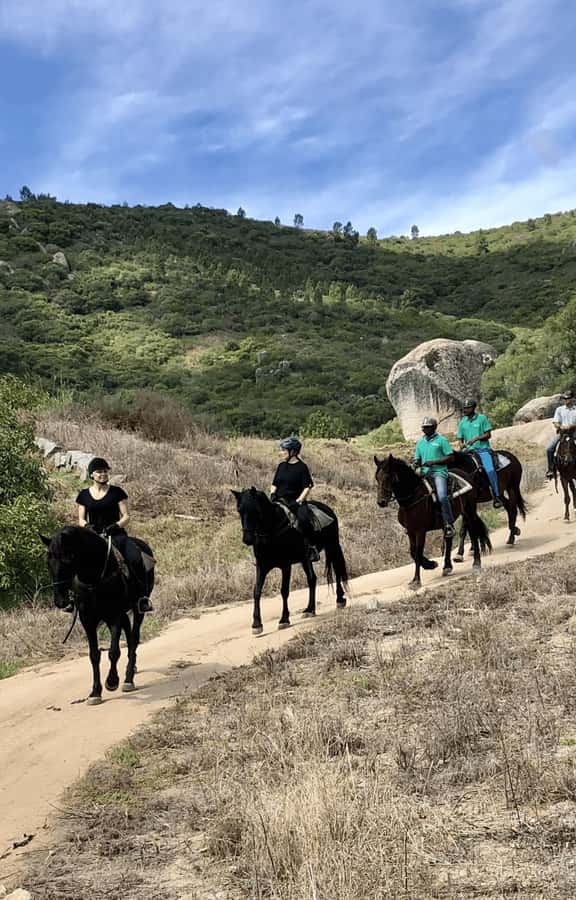 Franschhoek: Half Day Horse Trail and Wine Tasting - What the guide’s role adds