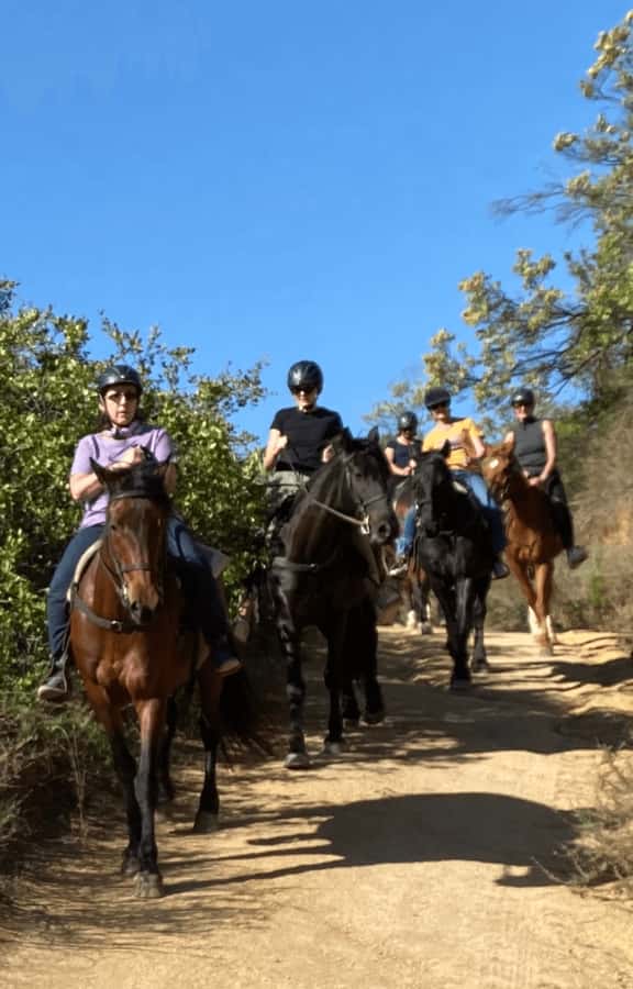 Franschhoek: Half Day Horse Trail and Wine Tasting - Should you book the Franschhoek horse trail?