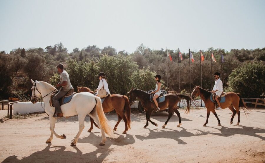 From Albufeira: Half-Day Hidden Gems & Horse Riding Tour - Who should book this Albufeira tour?