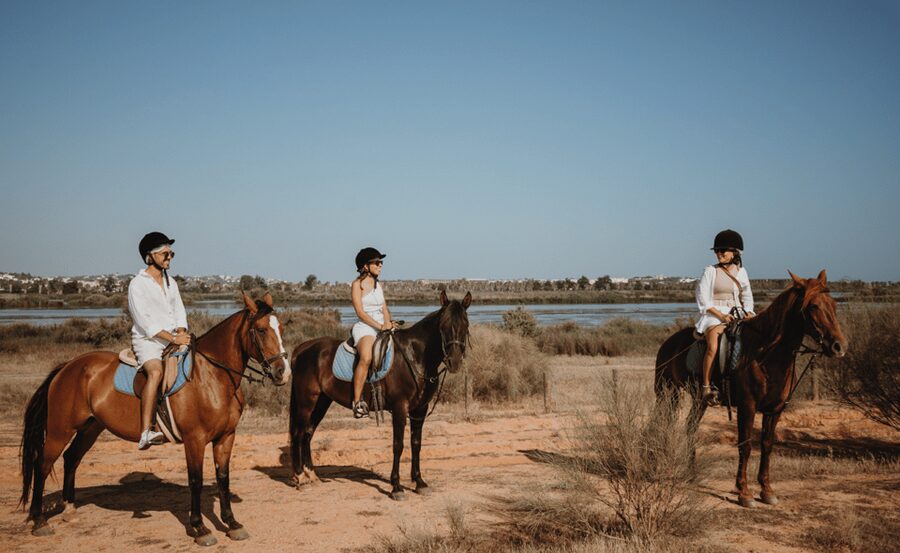 From Albufeira: Horse Riding Tour with Pickup - Who will enjoy this ride most