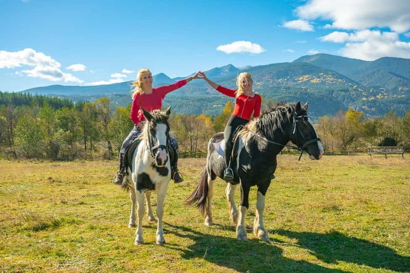 From Bansko: Horse Riding Experience - What happens at the Traventuria meeting point