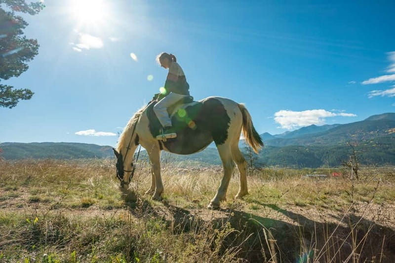 From Bansko: Horse Riding Experience - Forty-five minutes through the nearby countryside