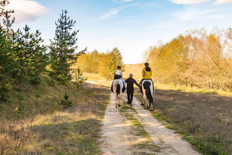 From Bansko: Horse Riding Experience - How the timing affects the value