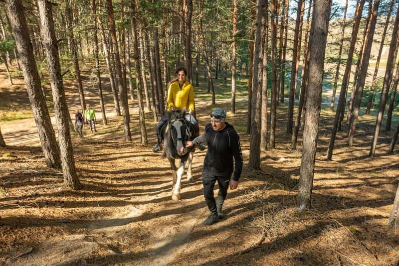 From Bansko: Horse Riding Experience - Who will enjoy this ride most
