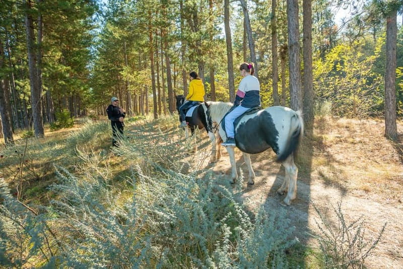 From Bansko: Horse Riding Experience - Is this horse riding experience worth booking?