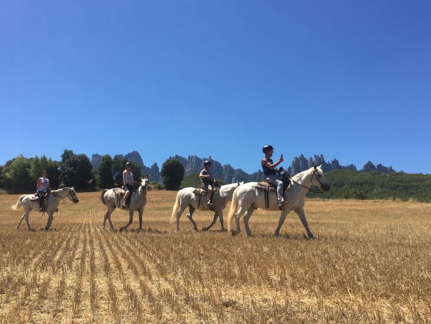 From Barcelona: Horseback Tour in Montserrat National Park - From Barcelona to the saw-toothed mountain