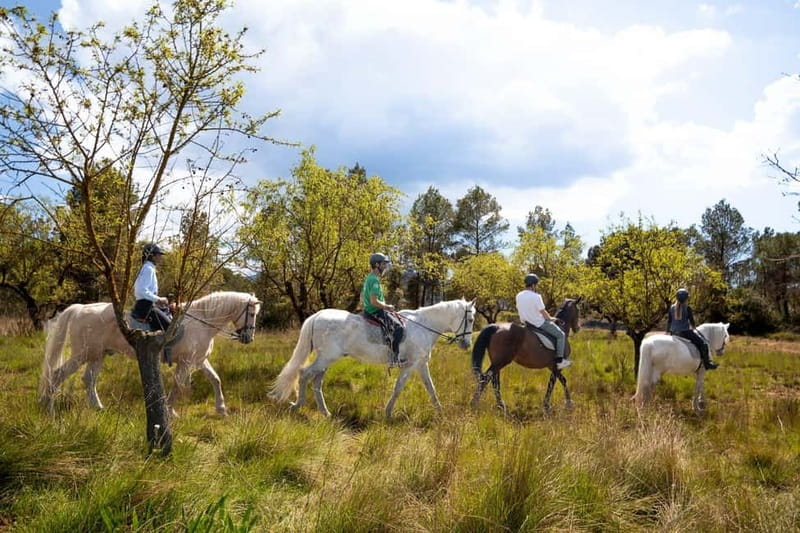 From Barcelona: Montserrat Walking and Horseback Riding Tour - Why this Montserrat trip feels different