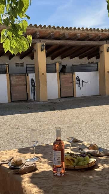 From Barcelona: PRIVATE Horseback Ride + Tapas + Picnic - Key points to know before booking