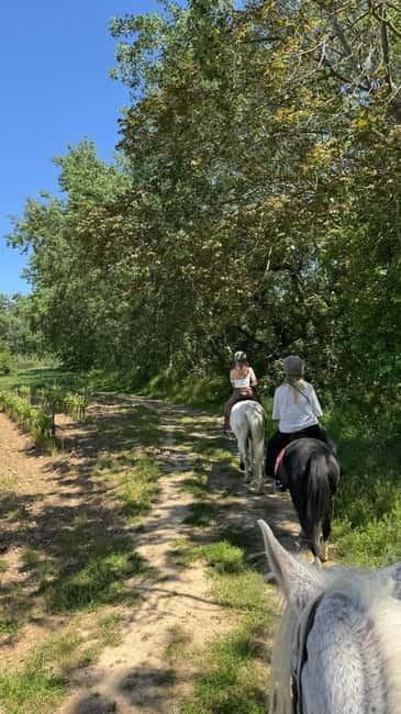 From Barcelona: PRIVATE Horseback Ride + Tapas + Picnic - Why Penedès makes a good Barcelona escape