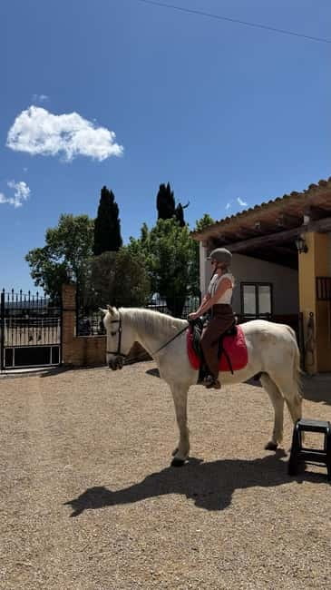 From Barcelona: PRIVATE Horseback Ride + Tapas + Picnic - Who will enjoy this most